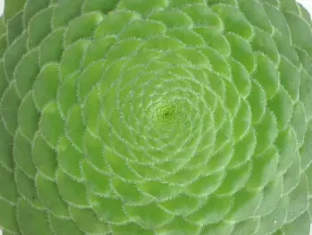 Biodiversidad