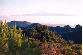 Garajonay